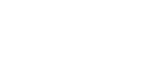 CLIO Professional
