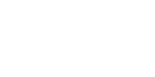 Moonshot