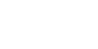 The Saem